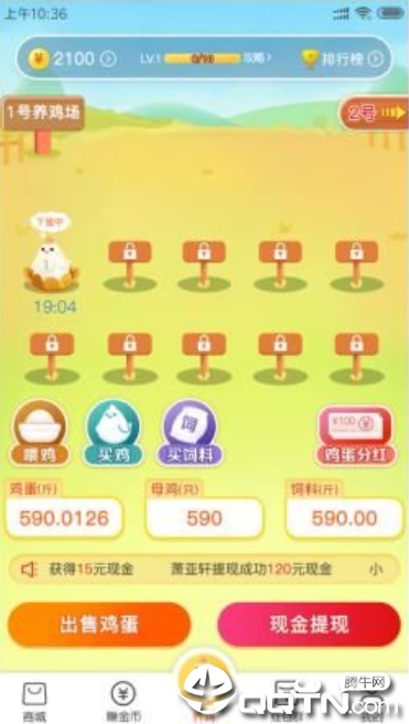 小淘鸡赚钱