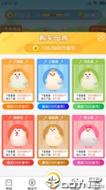 小淘鸡赚钱