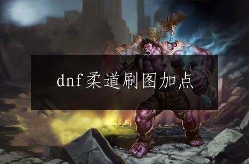 dnf柔道刷图加点