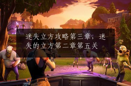 迷失立方攻略第三章，迷失的立方第二章第五关